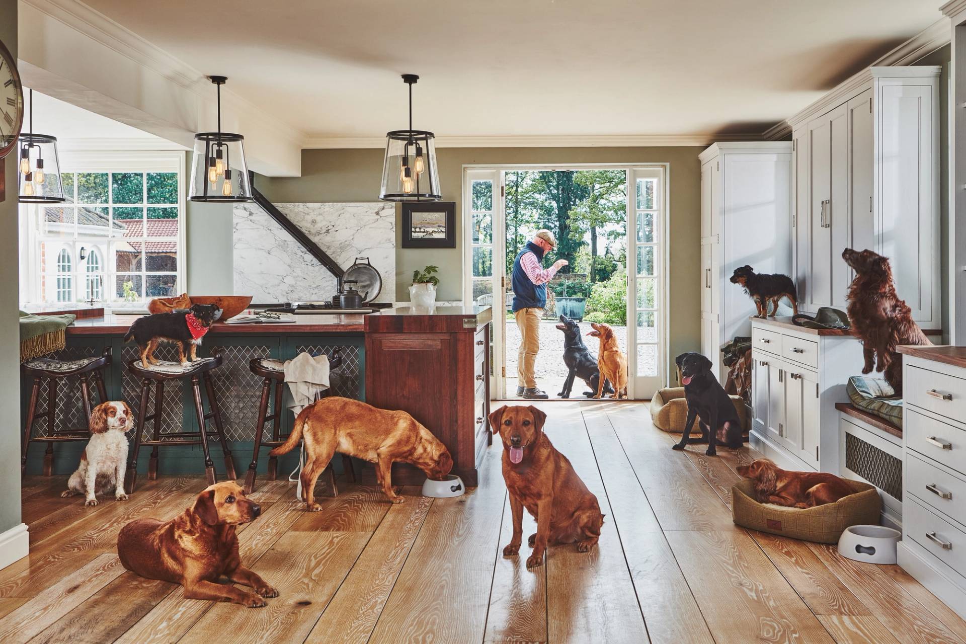 Large country-style kitchen with green and white cabinetry filled with many dogs. The scene shows a lifestyle-focused kitchen design with durable wooden flooring and an open-plan layout leading to a garden.
