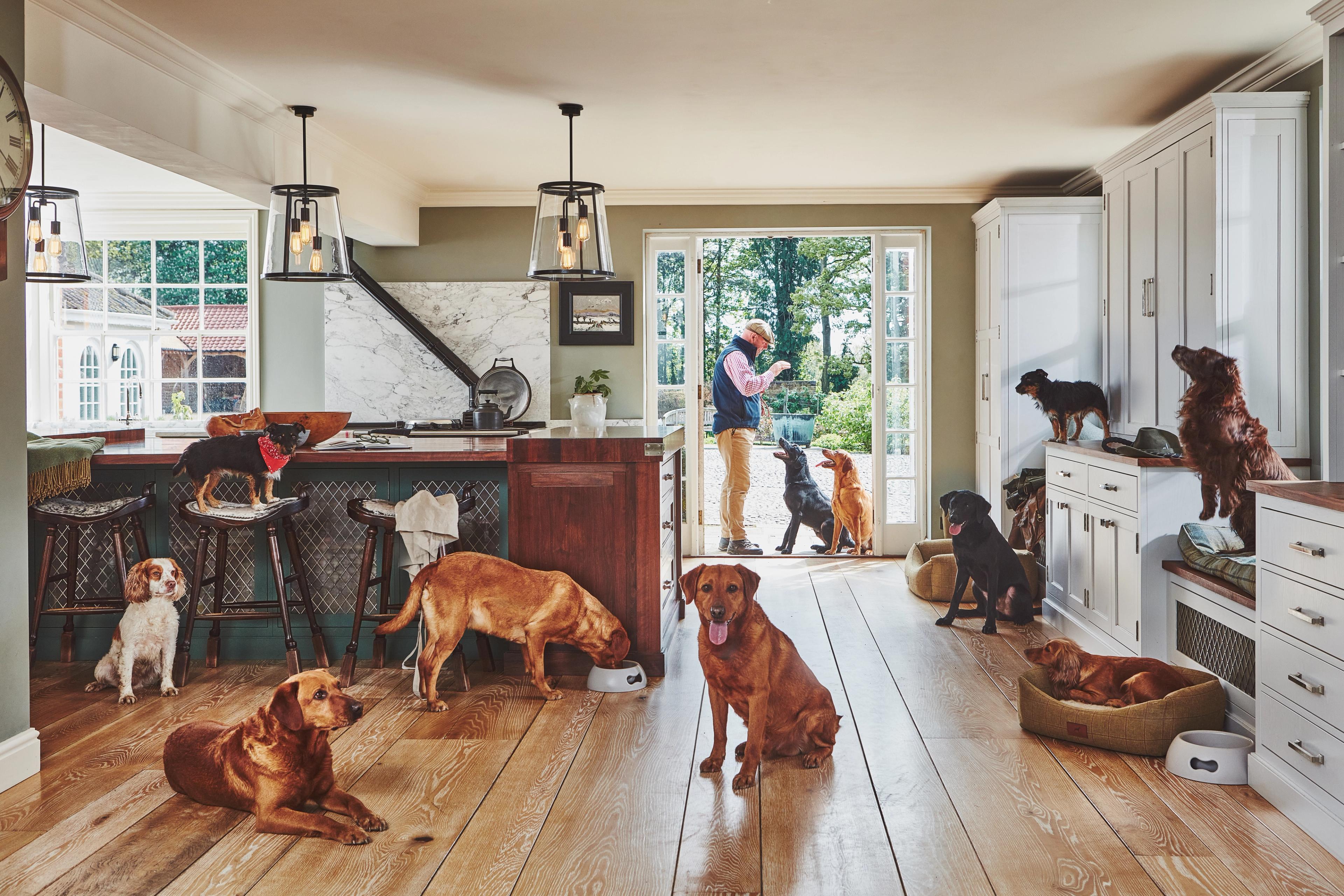 Large country-style kitchen with green and white cabinetry filled with many dogs. The scene shows a lifestyle-focused kitchen design with durable wooden flooring and an open-plan layout leading to a garden.