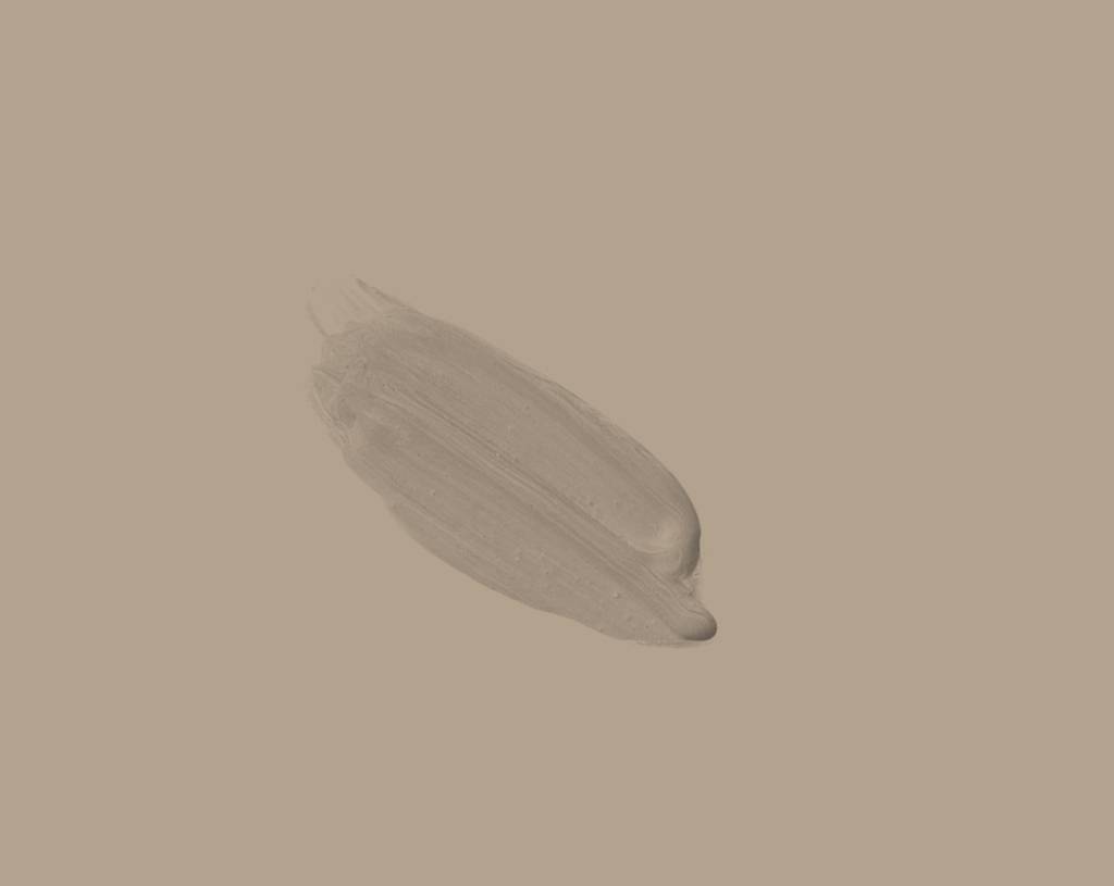 alt="A single brushstroke of Holt Latte paint on a slightly lighter Grey background. The paint appears smooth and slightly textured, with soft edges."