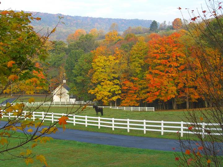 Fall-Leaves-013-blog