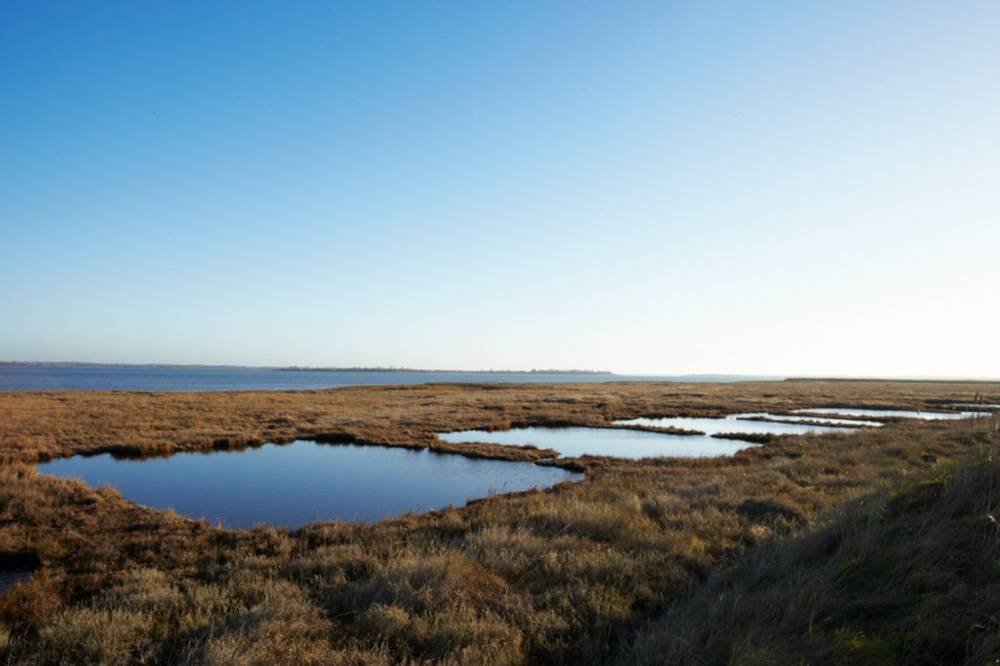 Maldon2