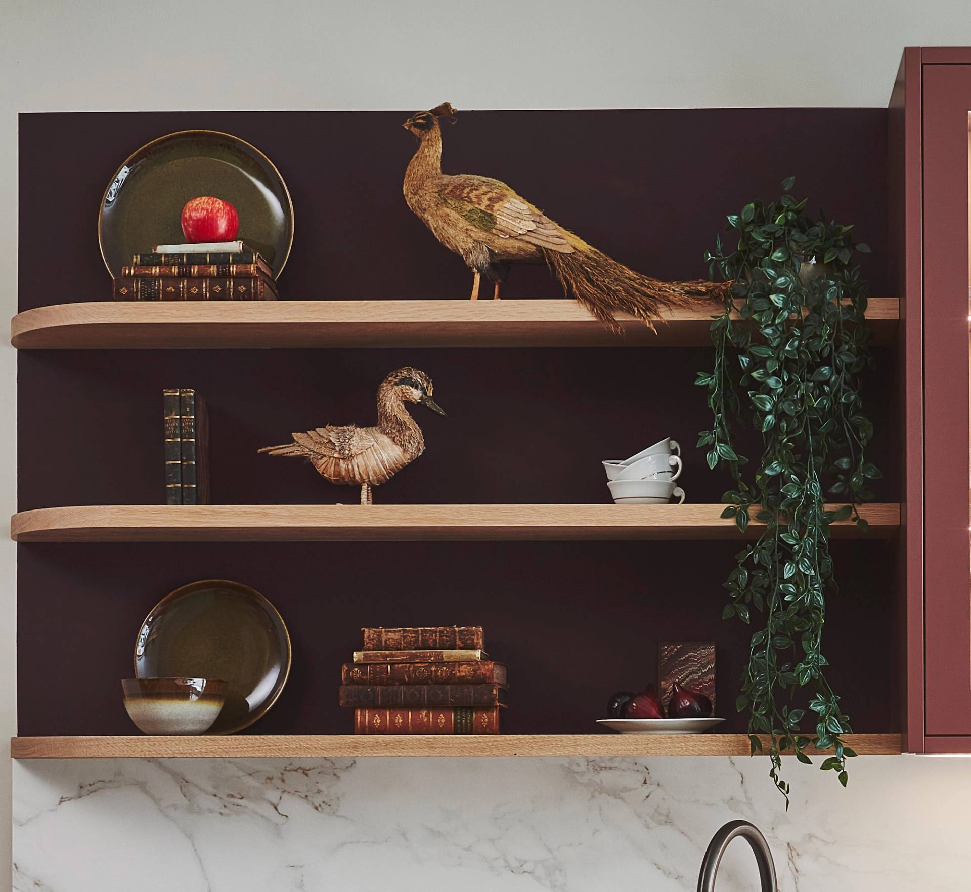 Wall-mounted shelves with decorative items: a pheasant figurine, a duck figurine, green vine plant, apples in bowls, and vintage books. The background is dark, and the wall beneath is marble.