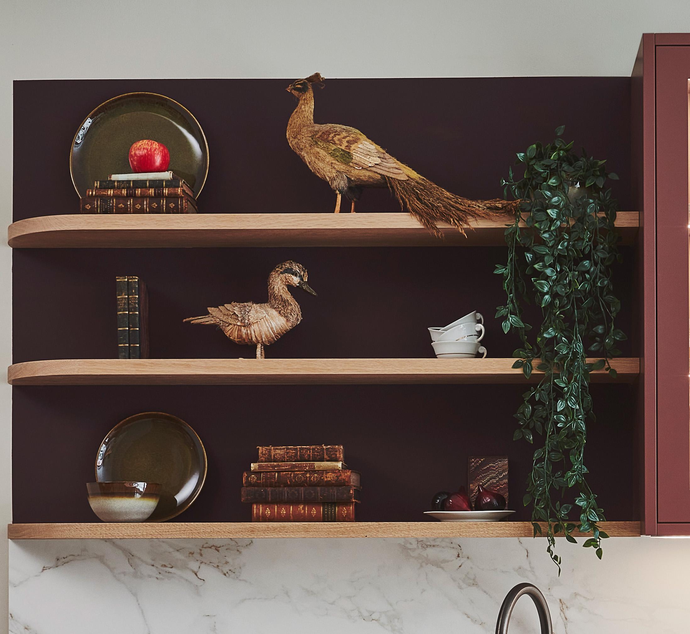Wall-mounted shelves with decorative items: a pheasant figurine, a duck figurine, green vine plant, apples in bowls, and vintage books. The background is dark, and the wall beneath is marble.