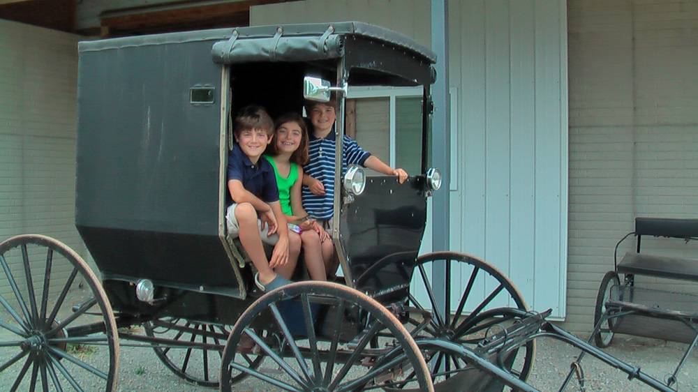 everett kids in buggy