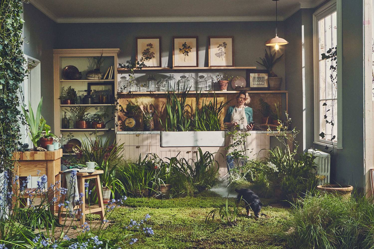 PlantLifeJayne