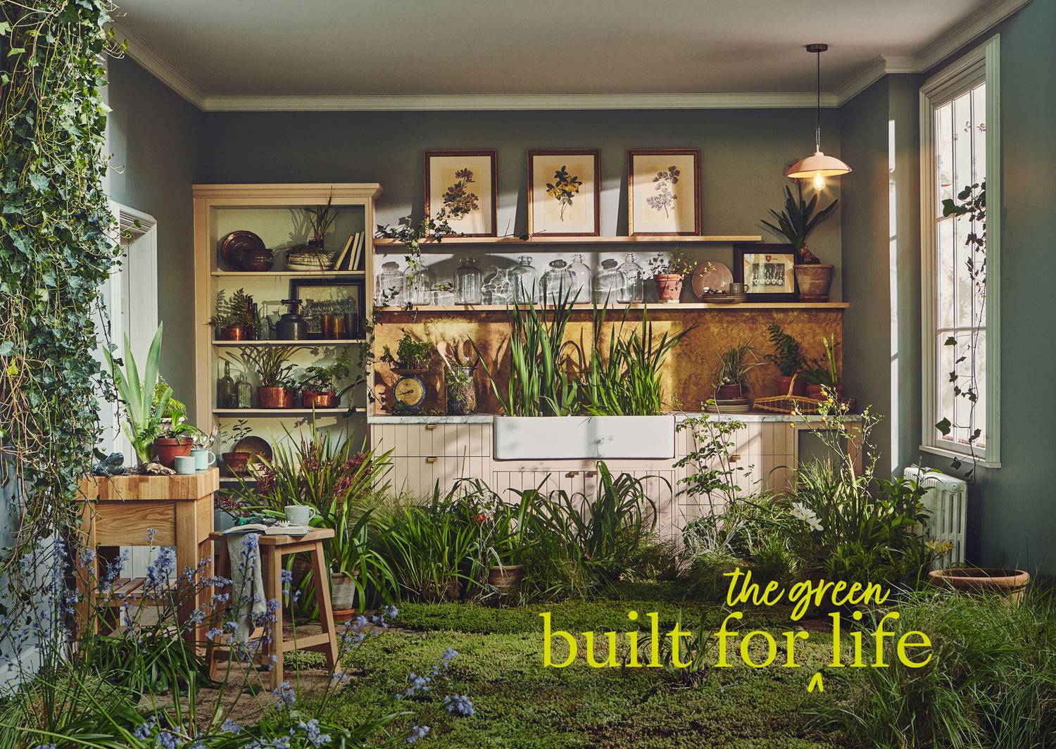 PlantLife1