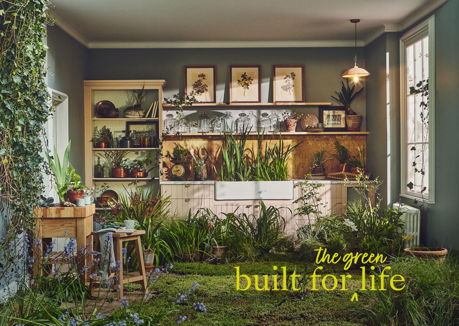 PlantLife1