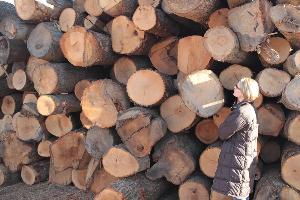 jayne with logs