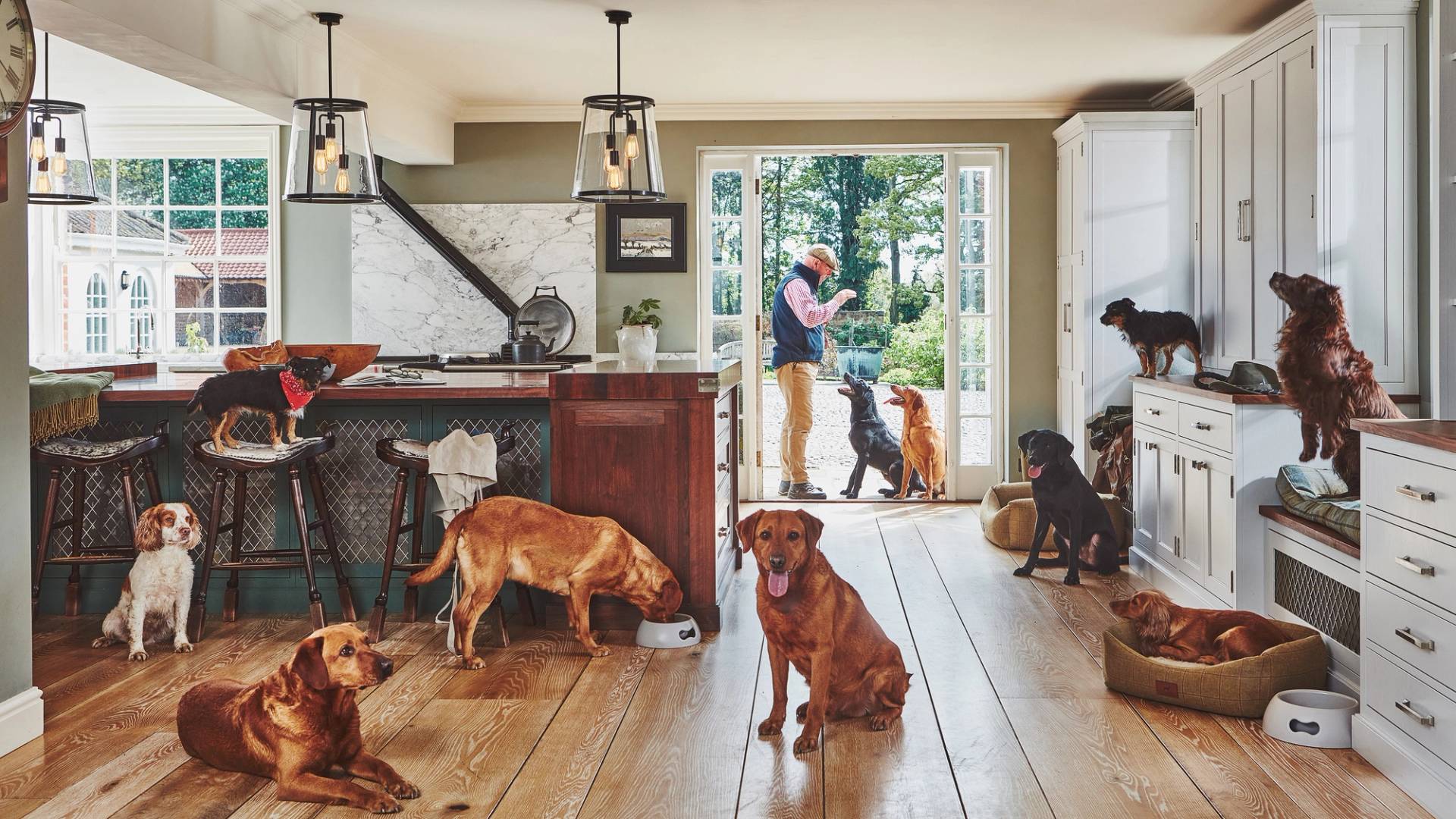 A kitchen filled with various dogs, each in a unique pose: some standing, sitting, or eating. A person is visible in the open doorway, interacting with a dog. The room is bright with natural light coming from large windows.