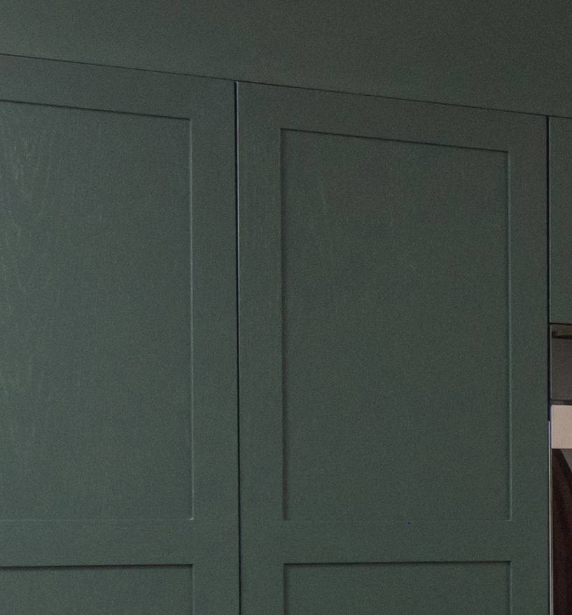 A partially open green cabinet door reveals a small section of a dark interior, while the rest of the smooth cabinet panels remain closed.