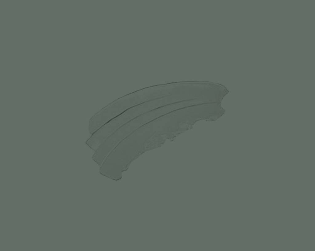 A dark green brushstroke with three distinct, curved lines appears on a solid green background. The brushstroke has a textured look, with some uneven edges and visible paint marks.