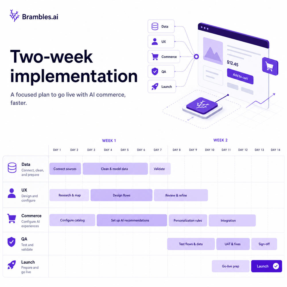 Two‑week implementation timeline with tasks across data, UX, commerce, QA, and launch.