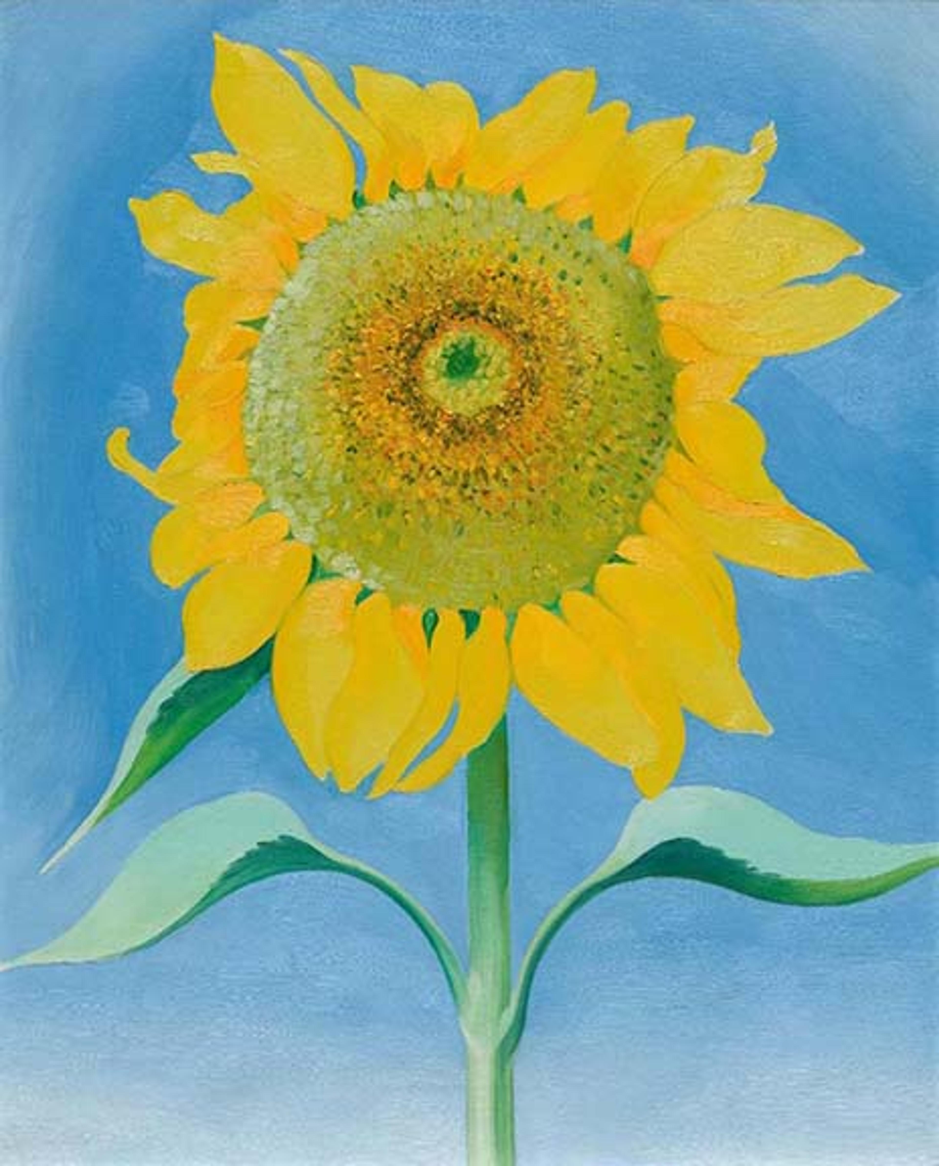 Georgia Okeefe Sunflower New Mexico 1