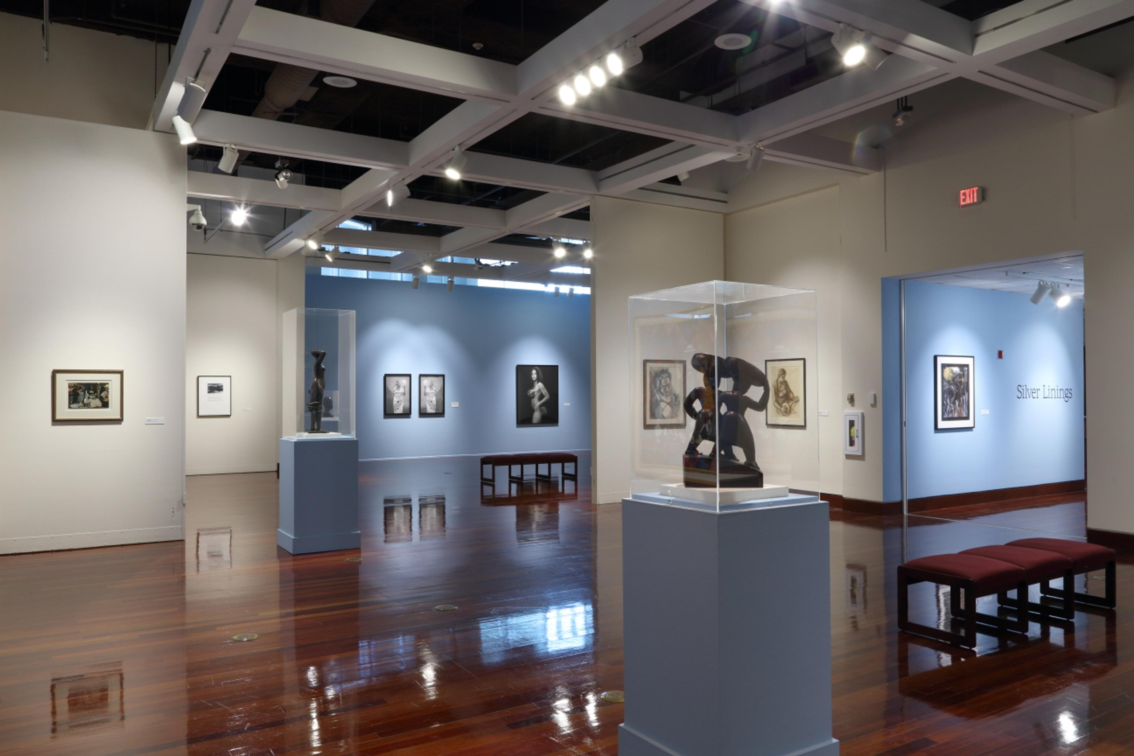 Silver Linings: Celebrating the Spelman Art Collection at Spelman College Museum of Fine Art galleries, Atlanta, Georgia