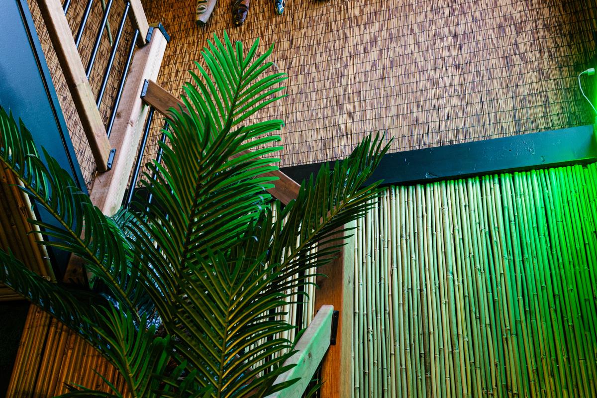 Layers of detail throughout Jungle Bird