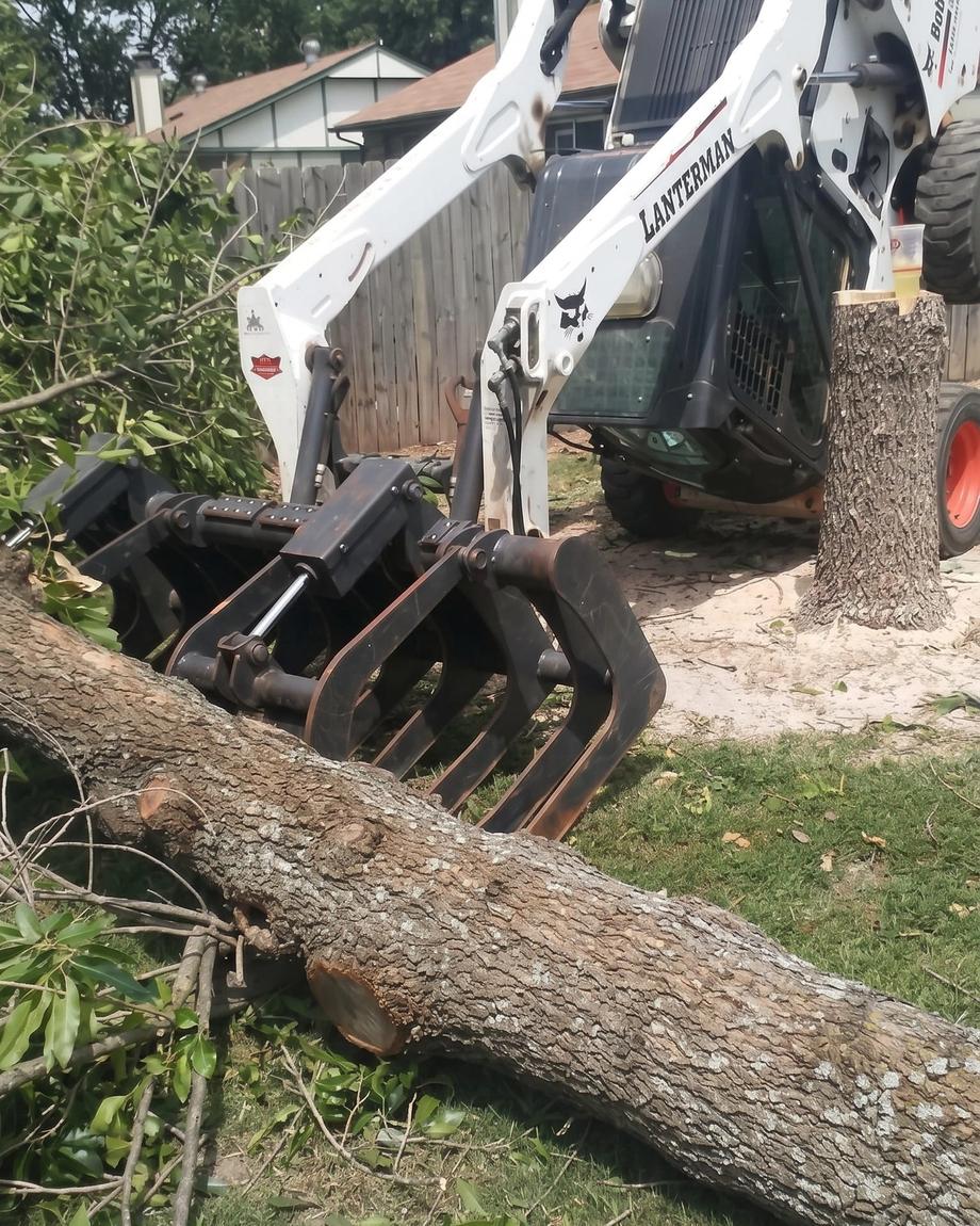 A skid steer grappling a fallen tree