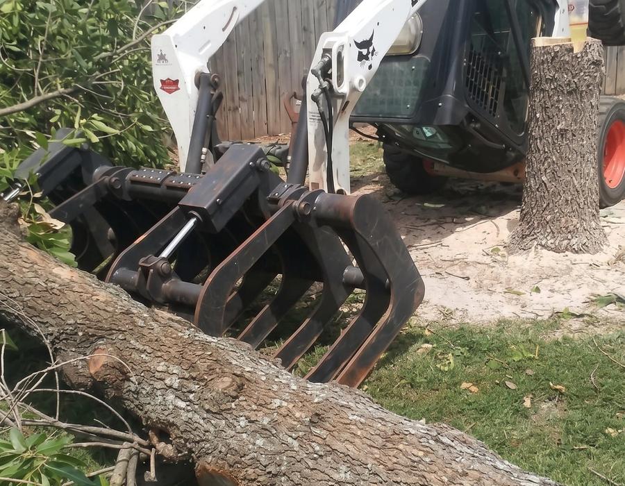 A skid steer grappling a fallen tree