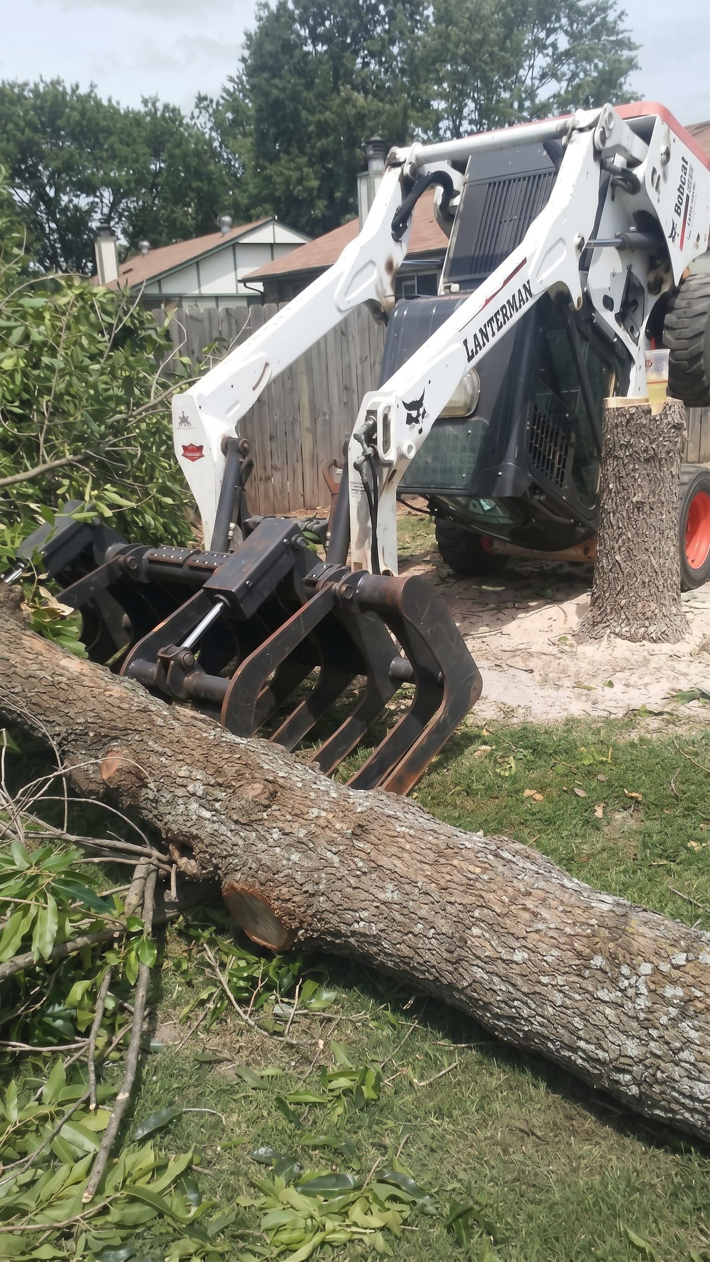 A skid steer grappling a fallen tree
