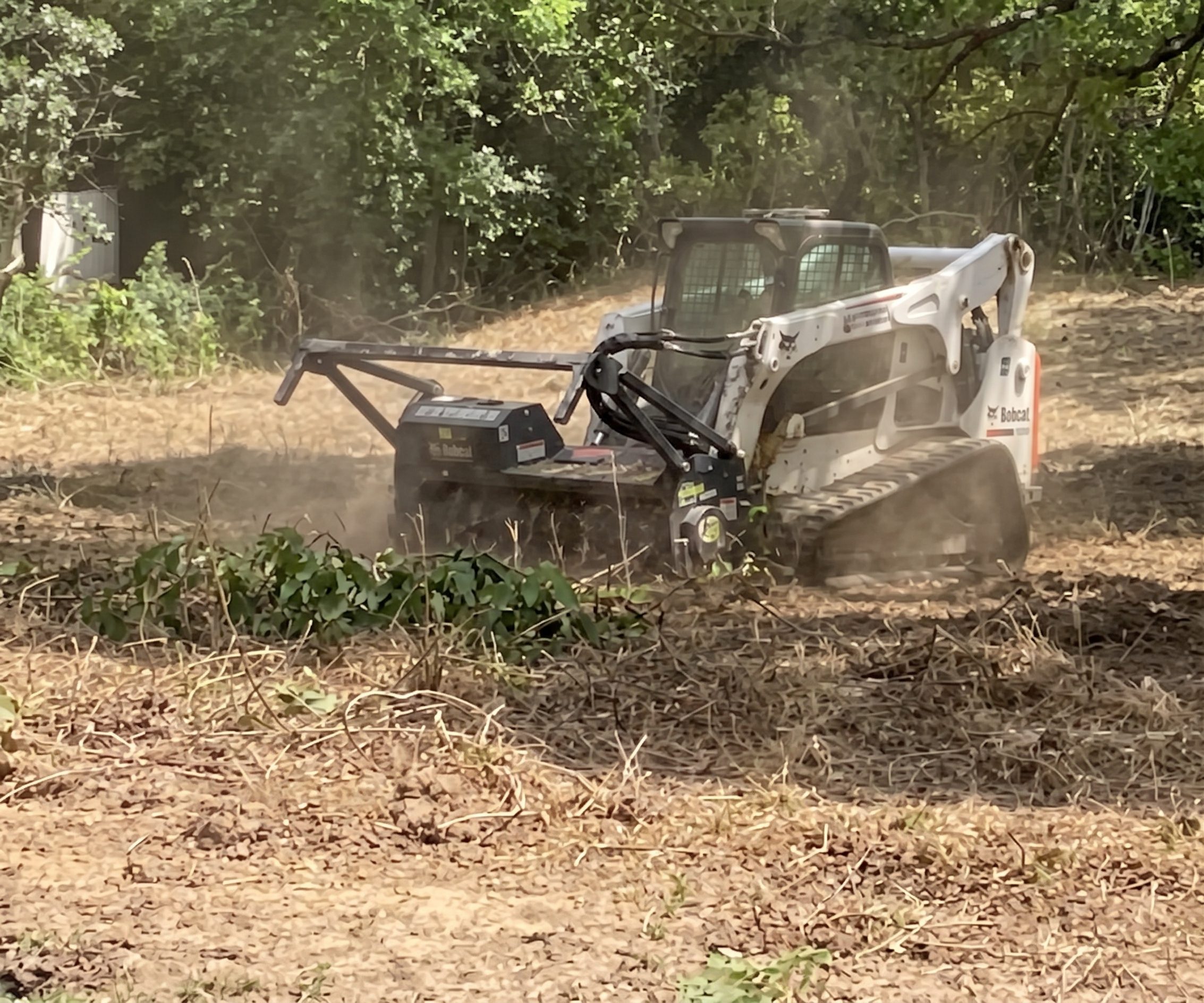 Tracked forestry mulcher grinding brush