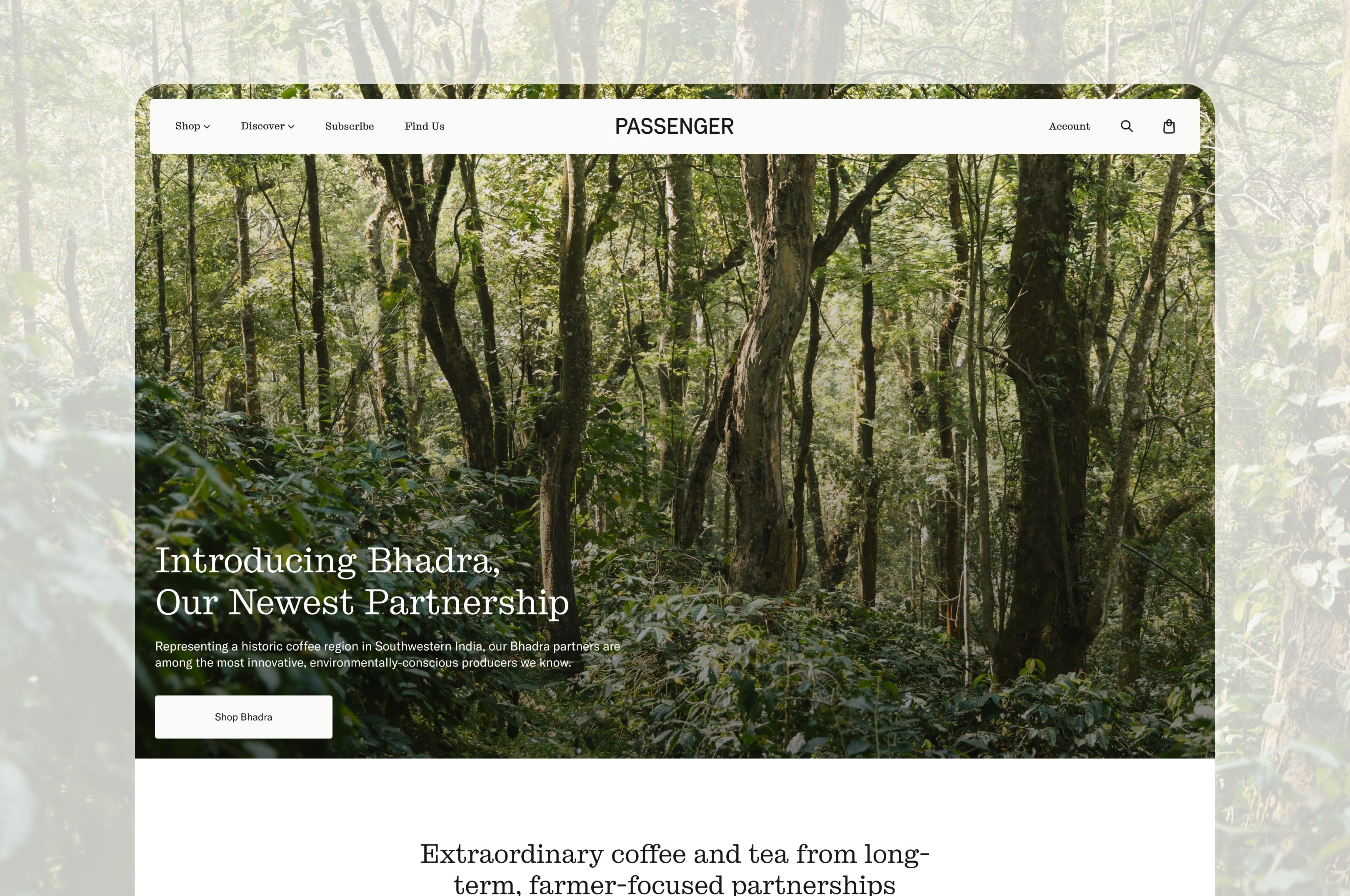 Montecarlos brand materials with coffee cup, fresh oranges, and print collateral