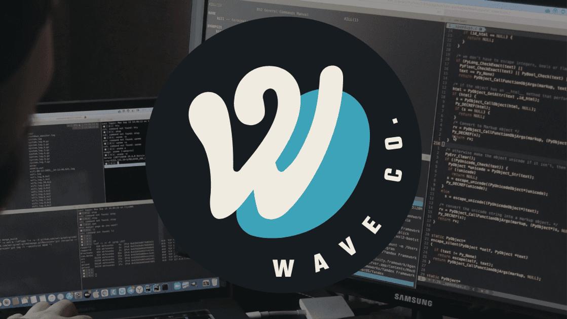 Why hire a software consultant for your business
