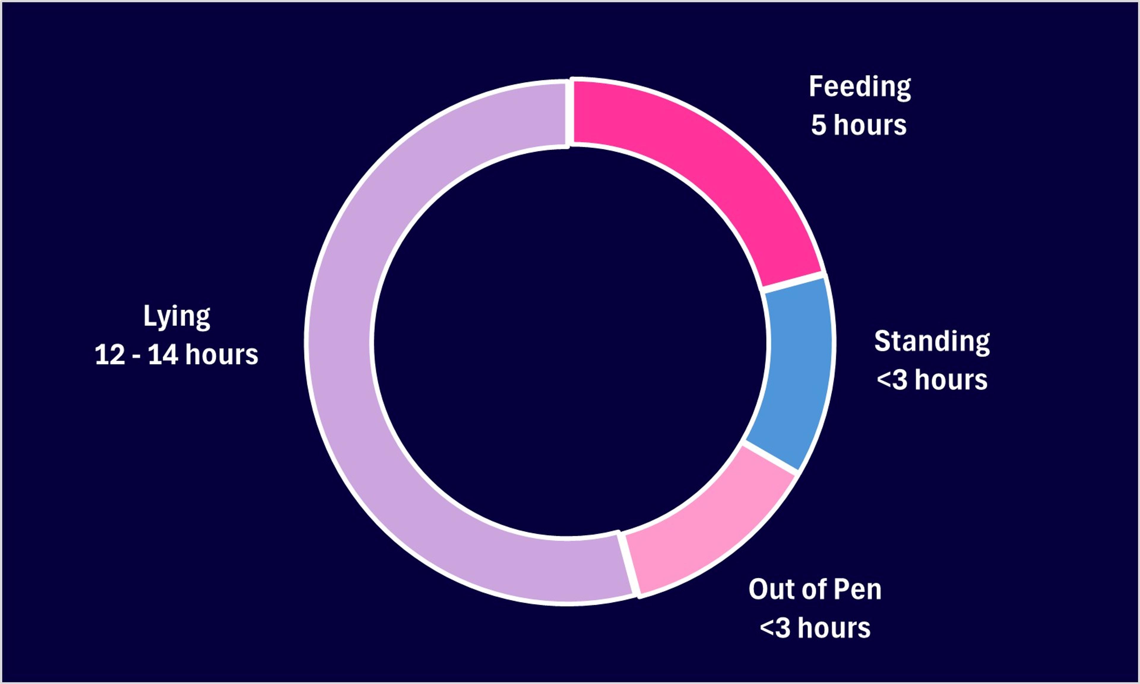 Dairy cow time budget