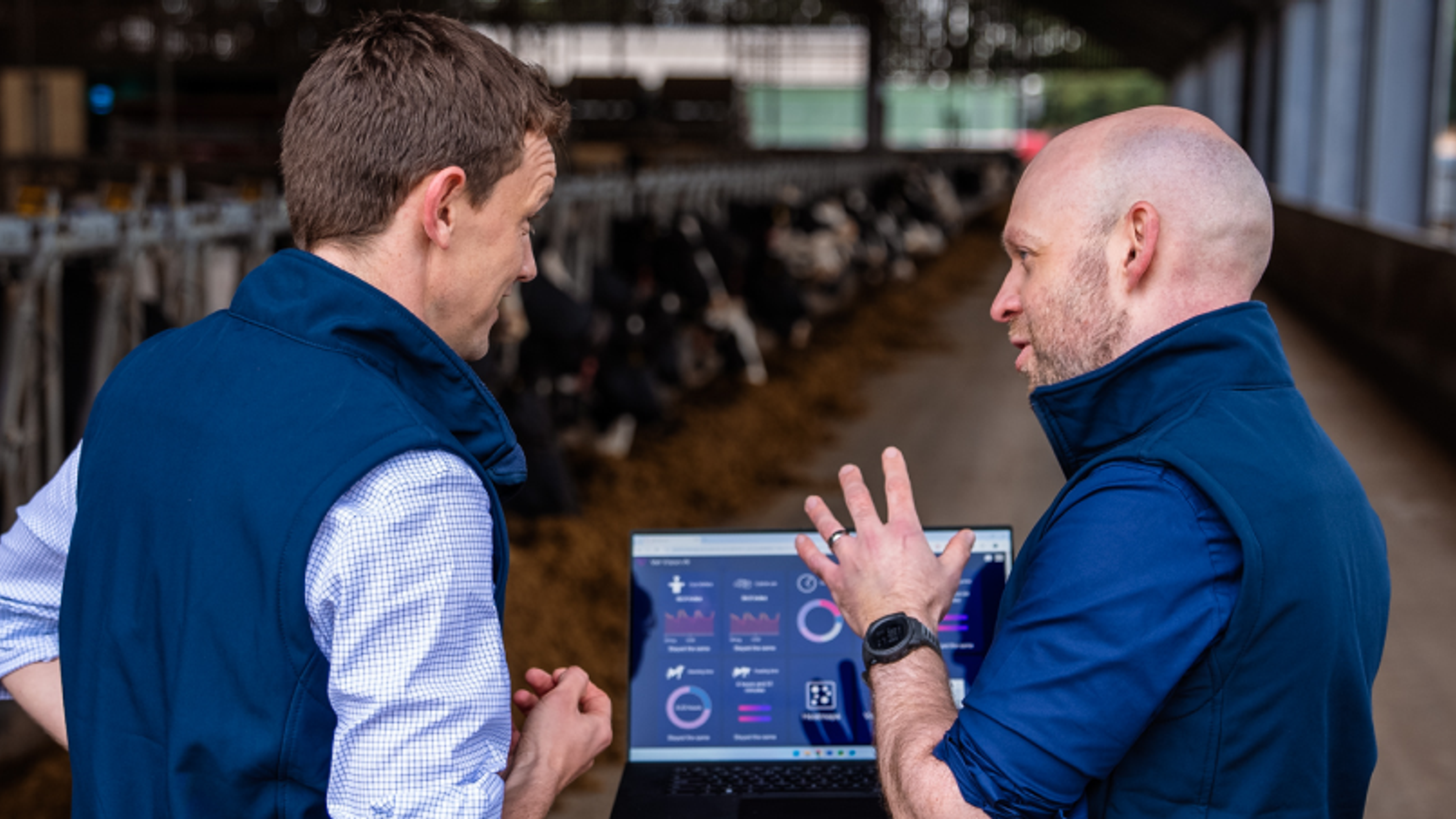 Case Study – How One Vet is Using AI Vision to Improve Animal Health