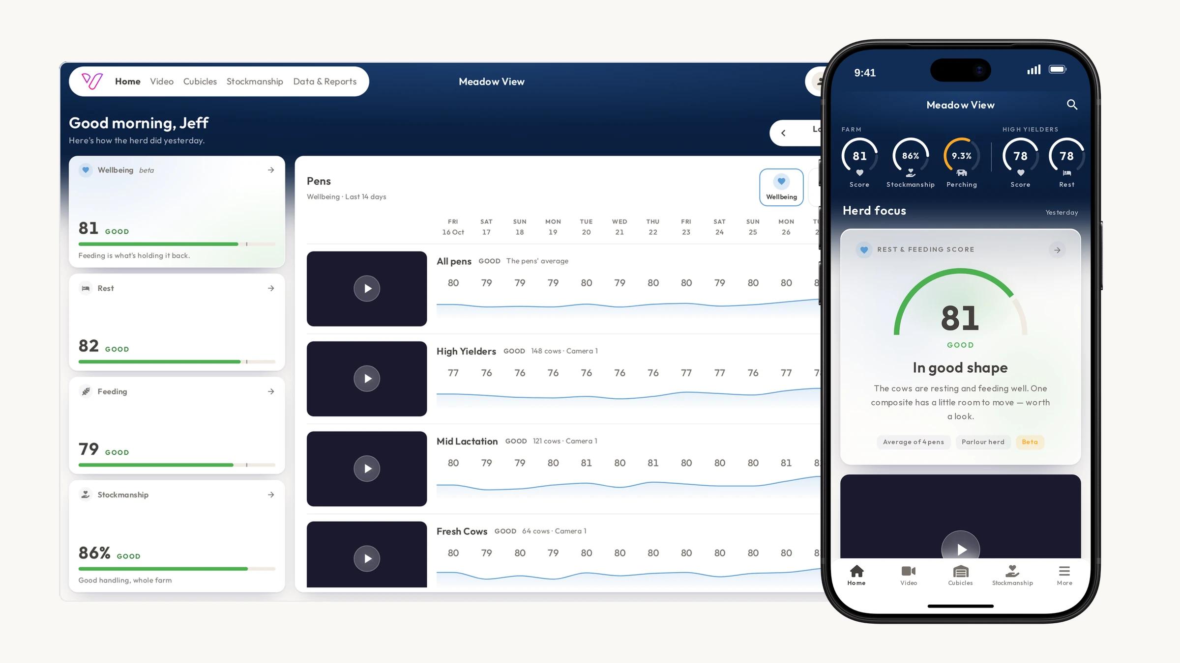 The Vet Vision AI for Dairy web app on a computer screen, showing the sample farm Meadow View with a Wellbeing score of 81 and a row for each pen, beside the iPhone app's Home screen for the same farm.
