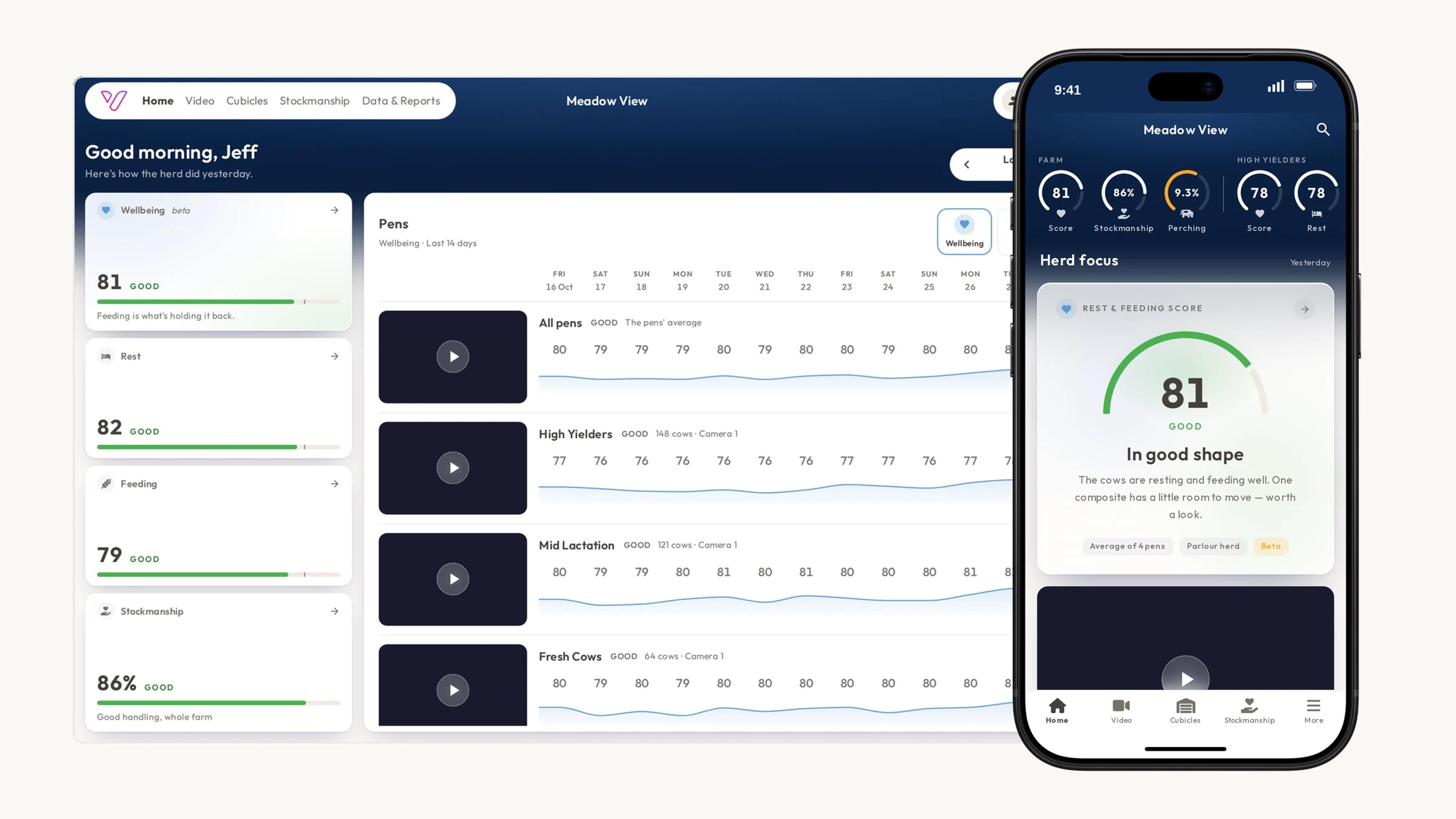 The Vet Vision AI for Dairy web app on a computer screen, showing the sample farm Meadow View with a Wellbeing score of 81 and a row for each pen, beside the iPhone app's Home screen for the same farm.