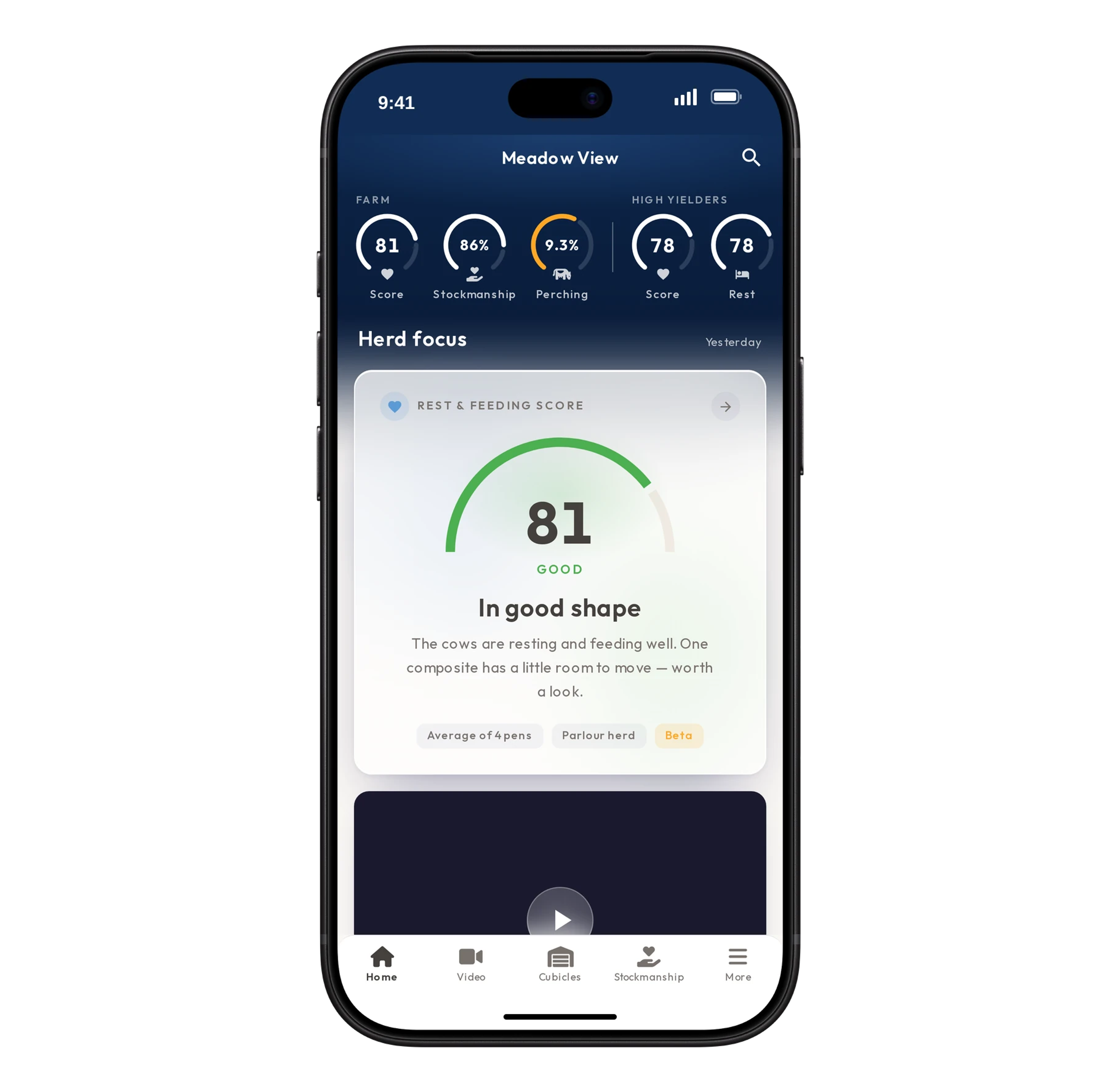 The Vet Vision AI for Dairy app on an iPhone, showing the sample farm Meadow View under Herd focus, with a row of scores across the top and a Rest & Feeding score of 81 in the Good band.