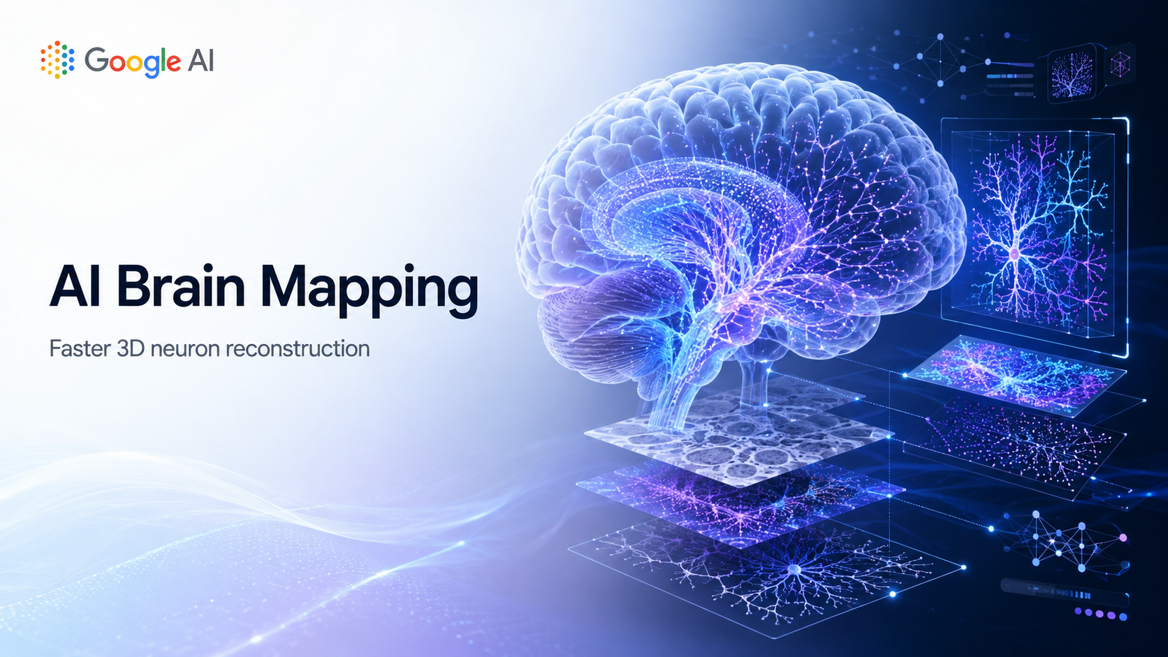 Google AI for Neuroscience Teams Could Make Brain Mapping Faster