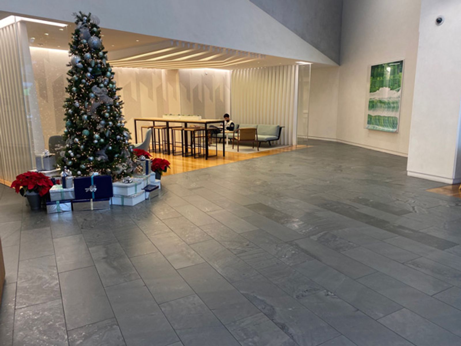 Burlington Stone - Centuries of Luxury
