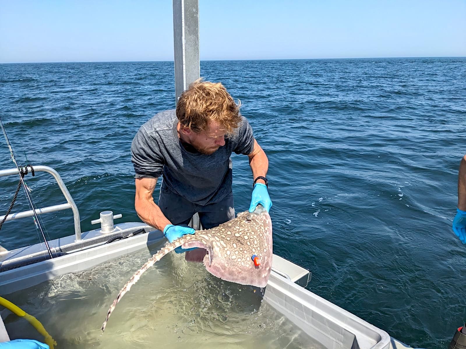 Fish Don’t Know Borders: Inside the European Tracking Network | Thelma ...