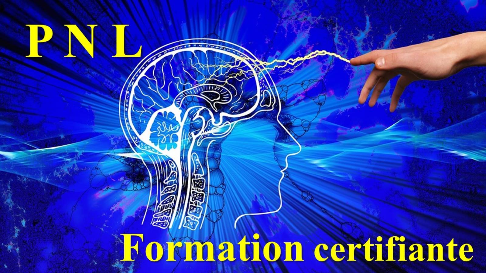 Formation de Technicien en PNL (Programmation Neuro-Linguistique)