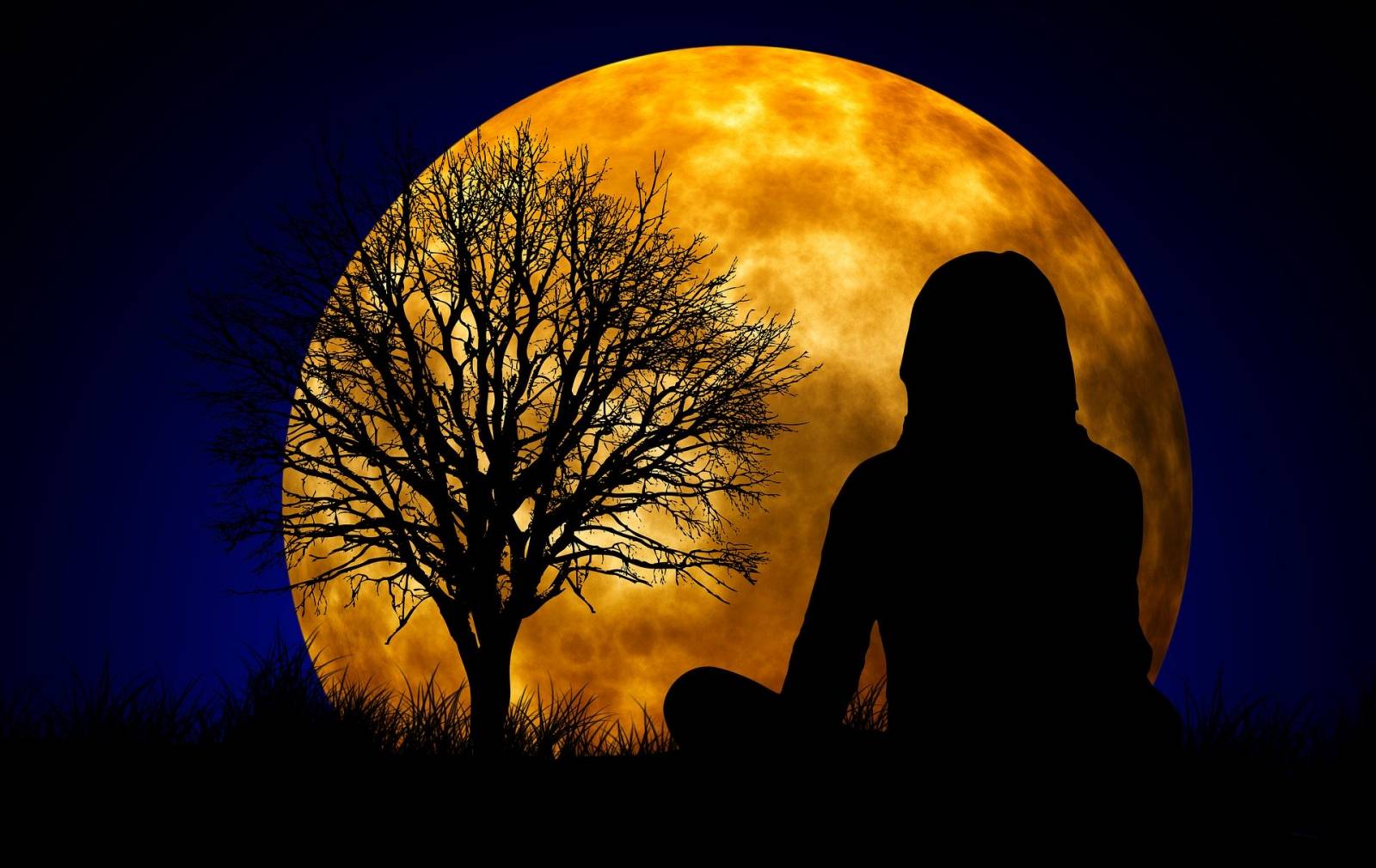 Formation Méditation Pleine Conscience