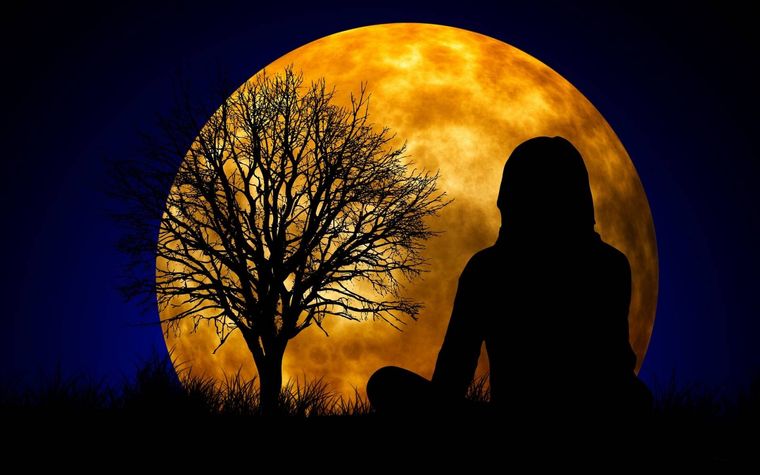 Formation Méditation Pleine Conscience