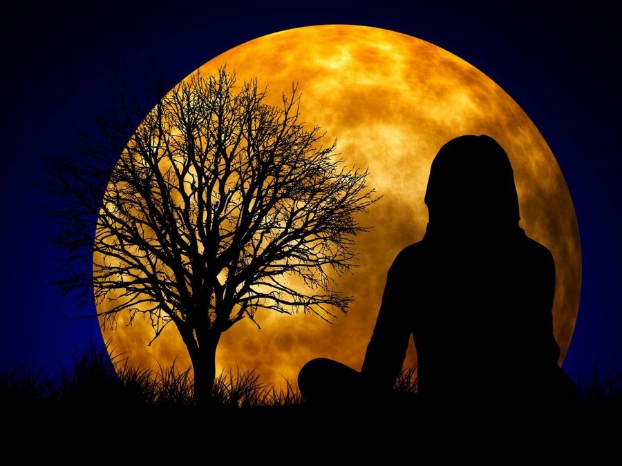 Formation Méditation Pleine Conscience