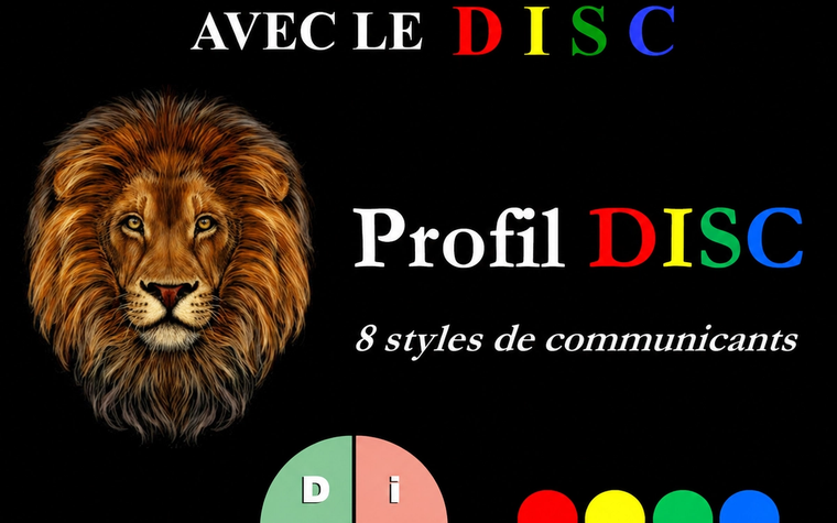D.I.S.C Mieux communiquer avec le DISC