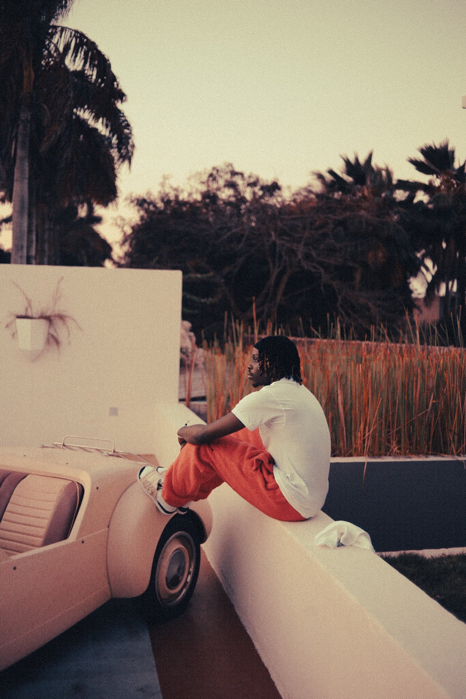 Fireboy DML gallery image