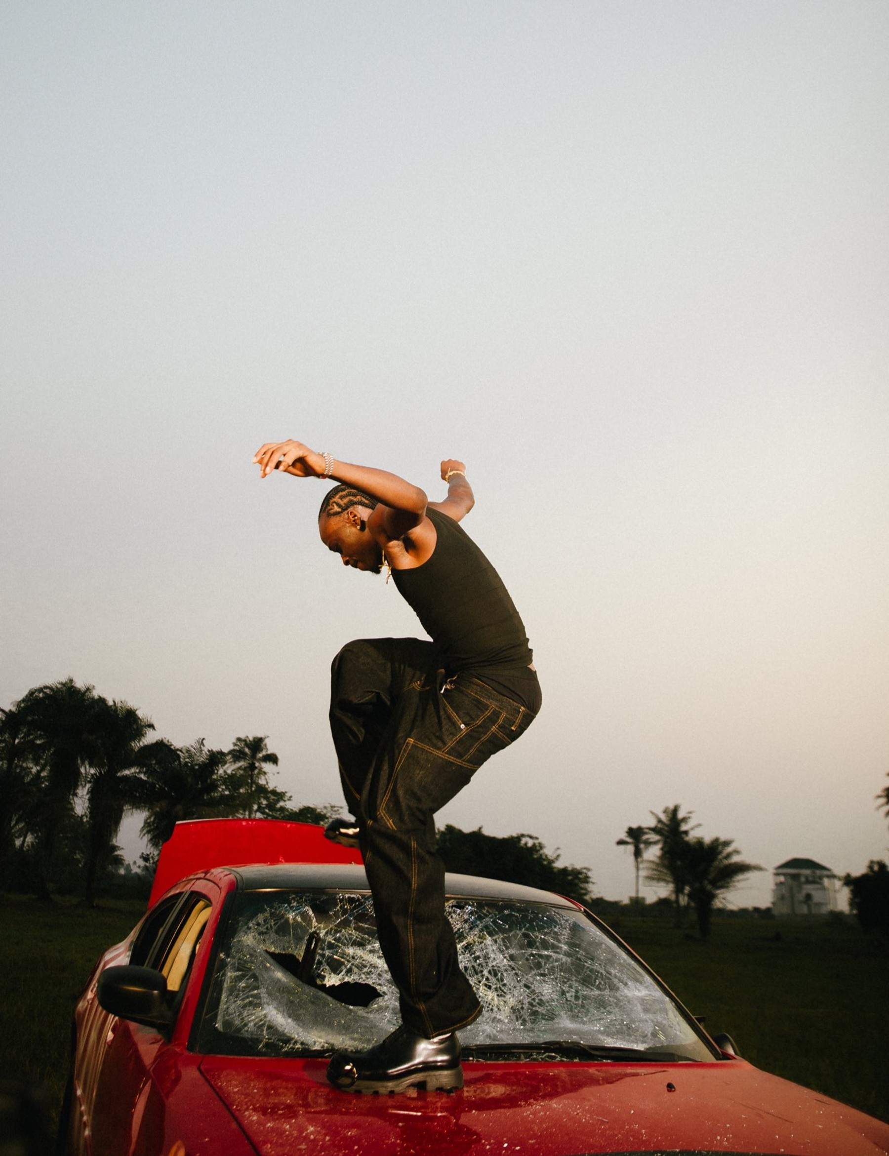 Fireboy DML gallery image
