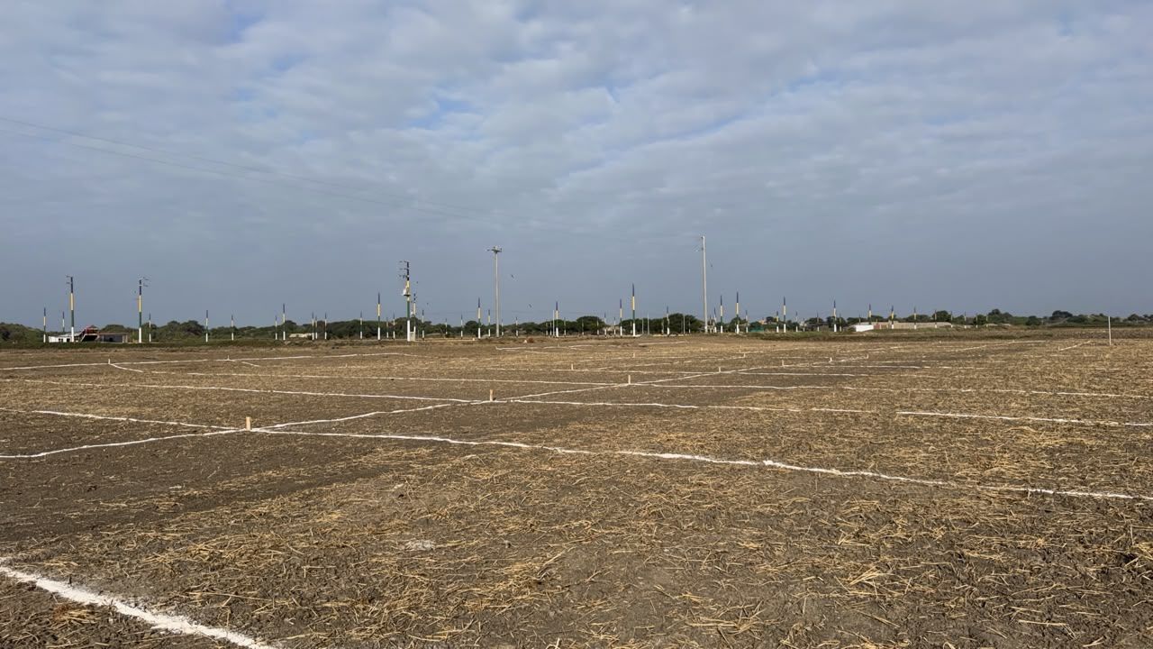 Proceso de metraje y marcación de lotes en la nueva etapa del proyecto.
