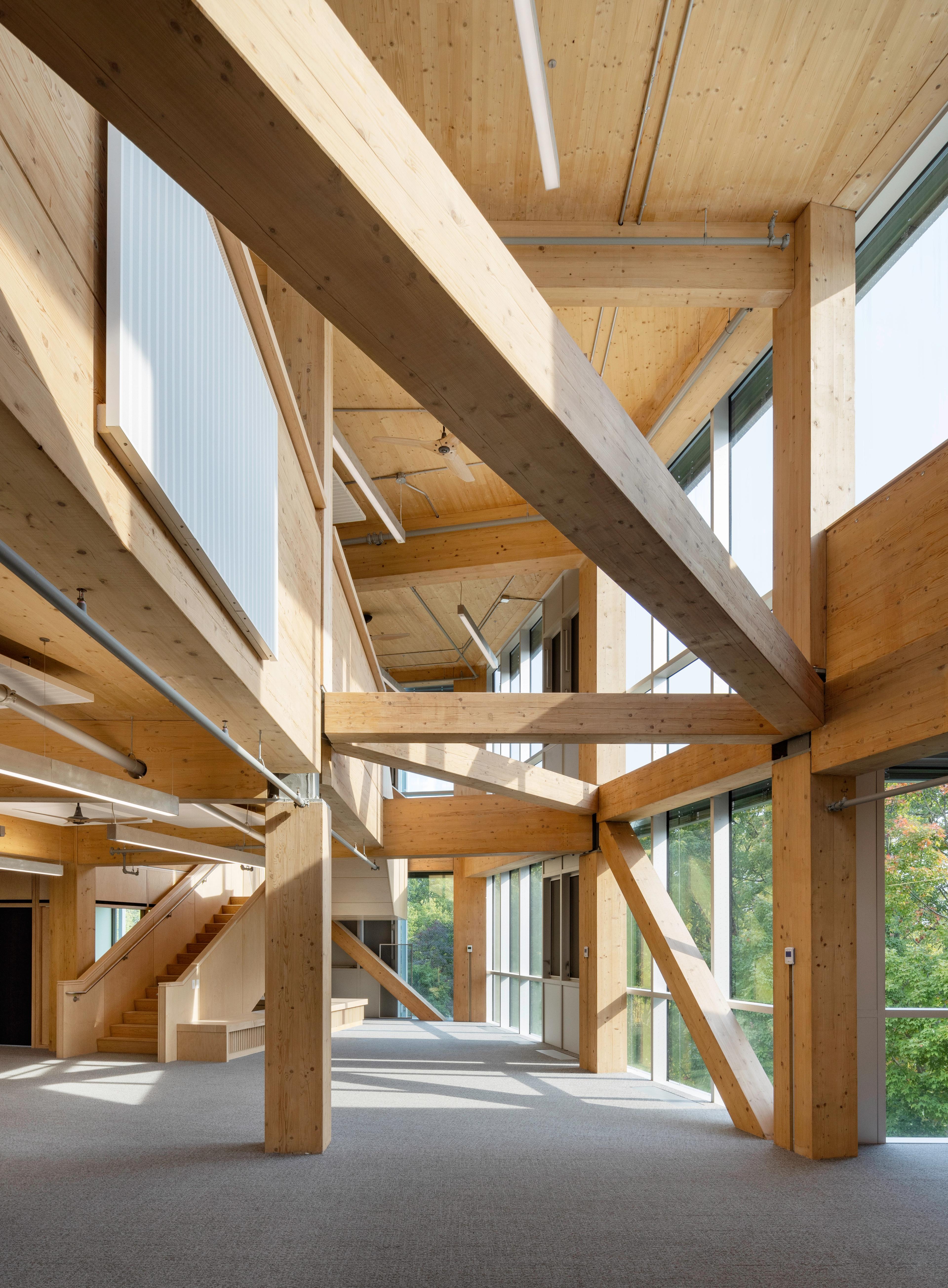 timber beams