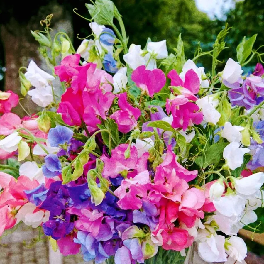 Whitney Root Gardens flower bouquet arrangement number 15