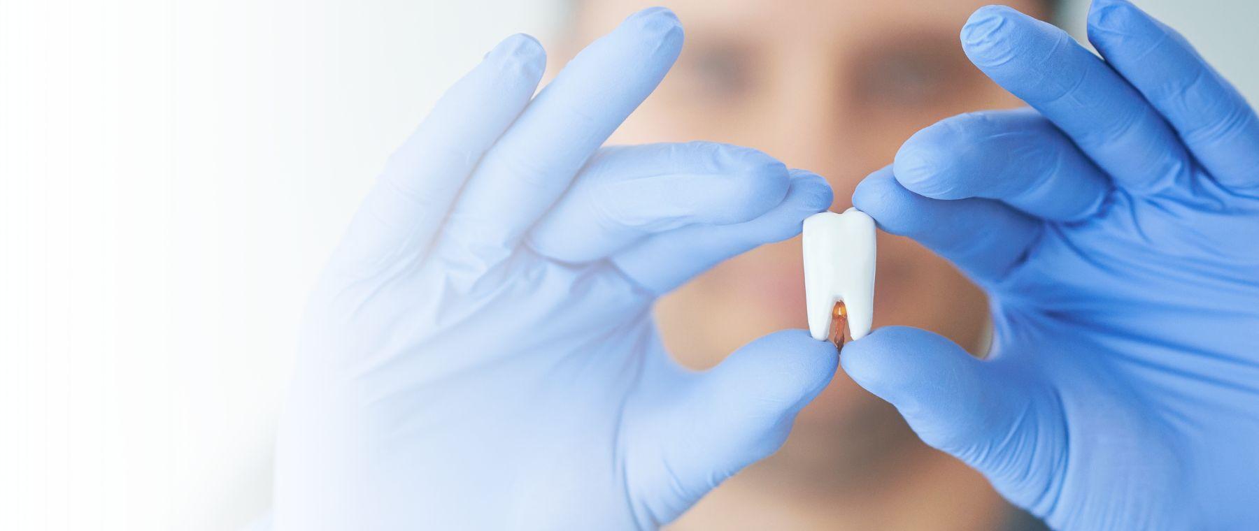 Dentist holding a dental crown for a patient in Rawalpindi at DentoCorrect