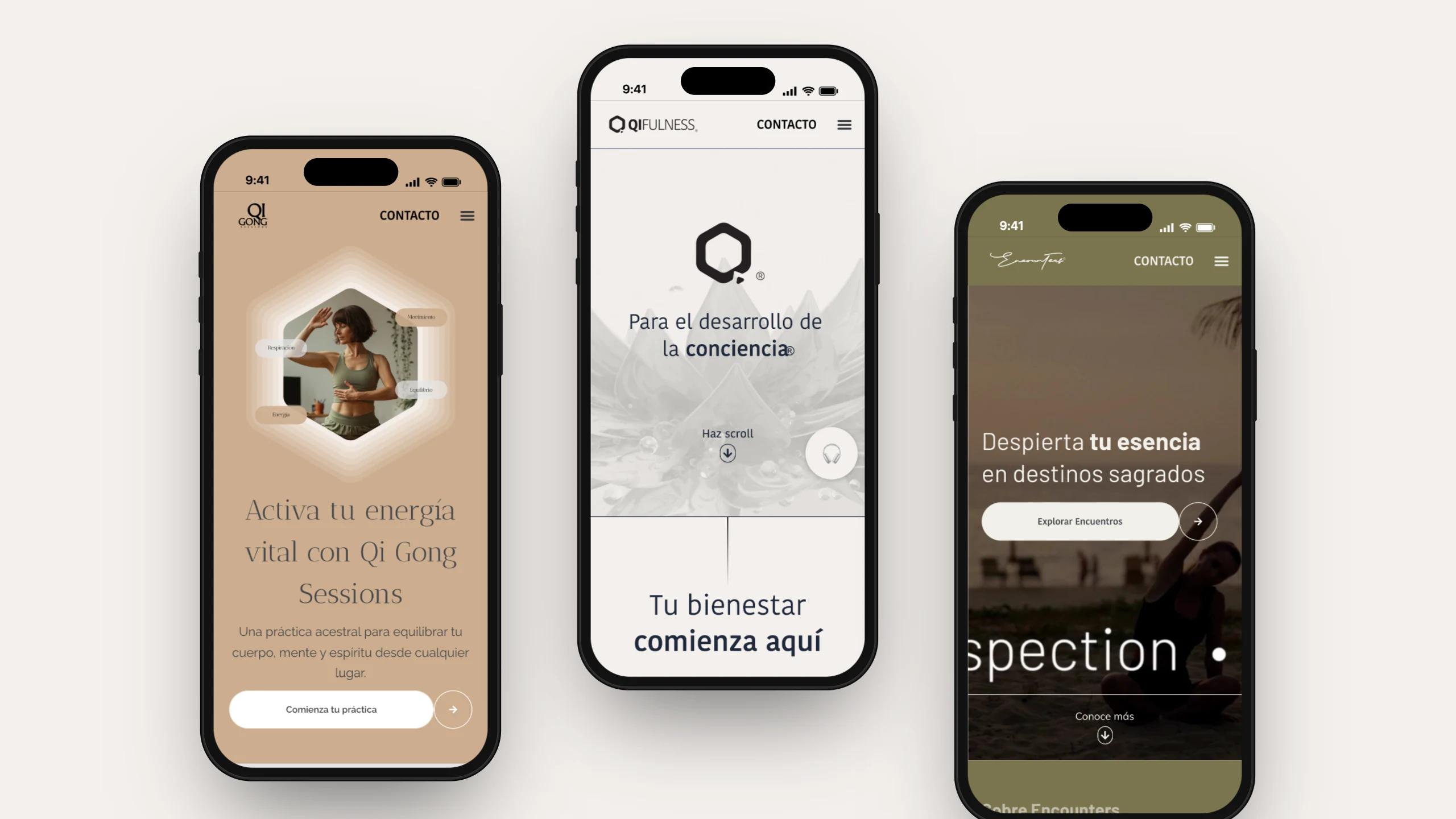 Qifulness — Qi Gong Sessions, home y Encounters en iPhone