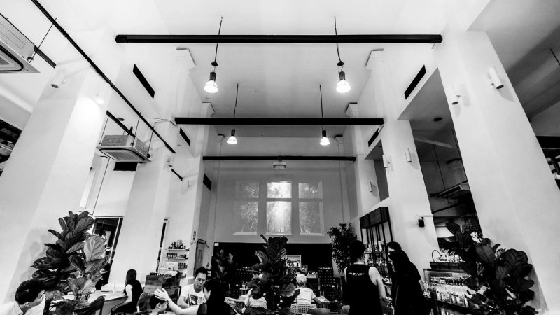 The Divine Forest header