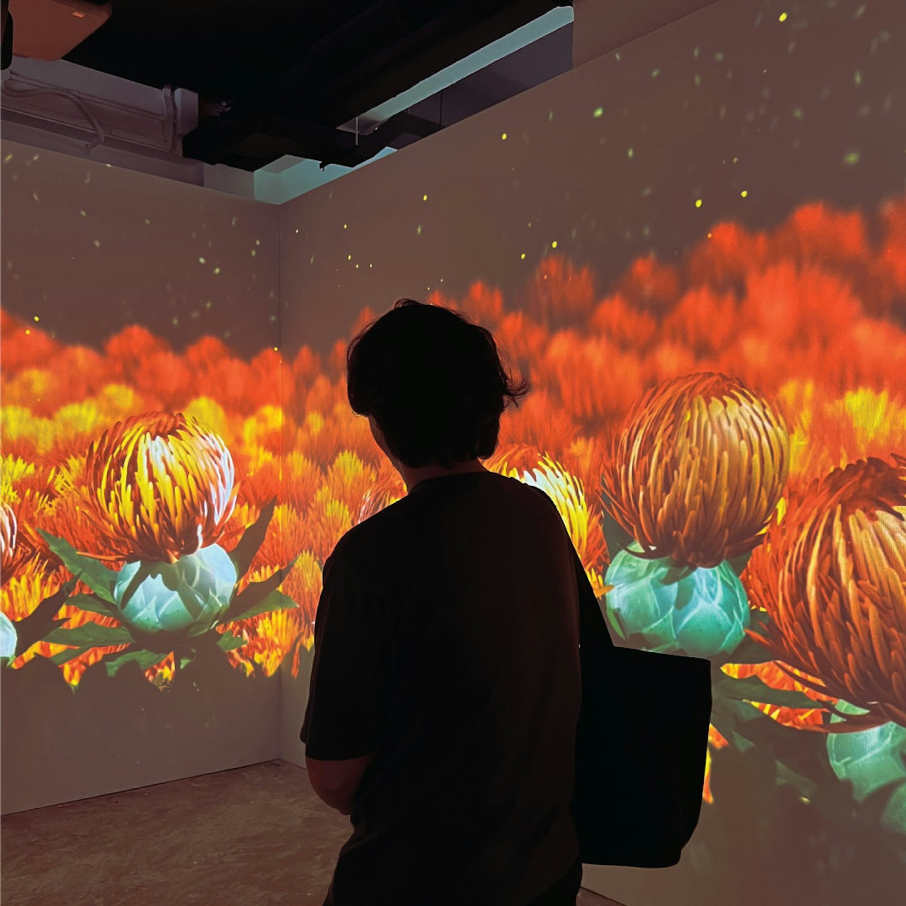 Shiseido — Mogami Safflower Flower Field image