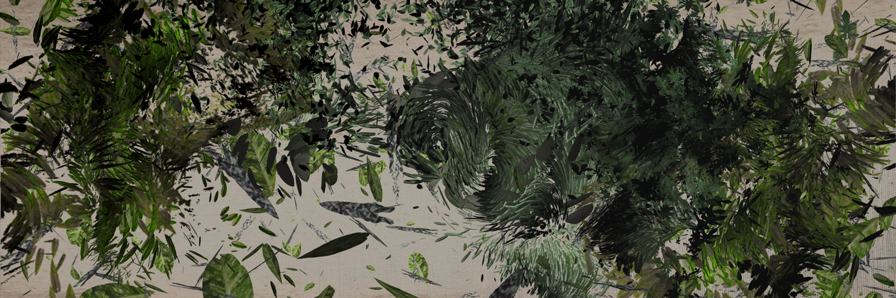 BIOS: A Conversation with the Wind image