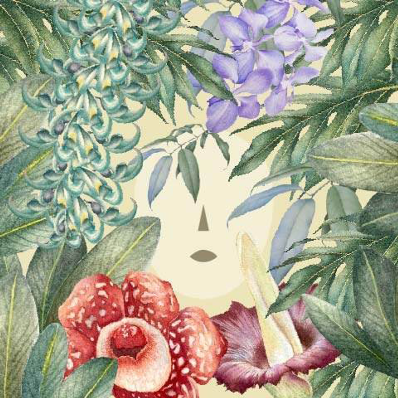 BBC Earth — Botanical Art World header