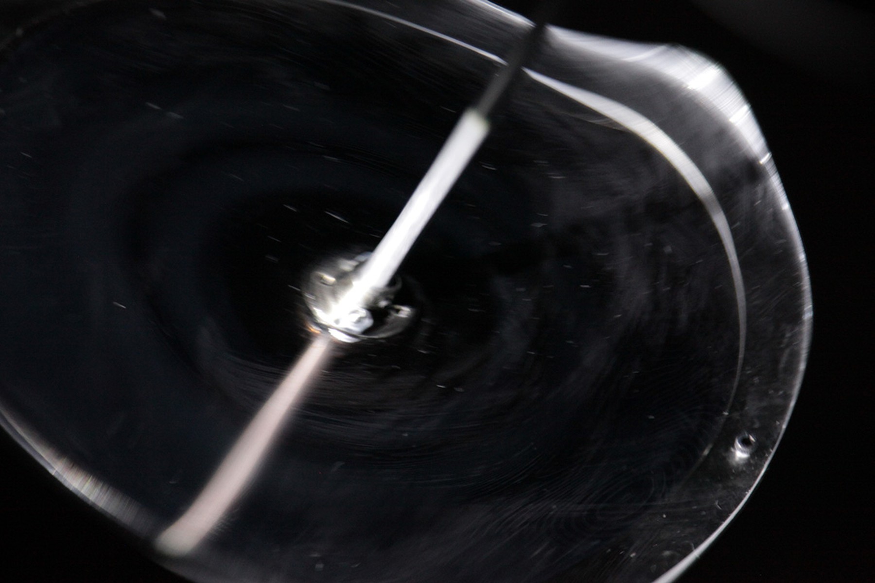 Singularities: Of Primordial Black Holes image